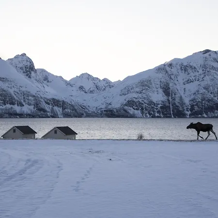 Resort Lyngen North Rotsund