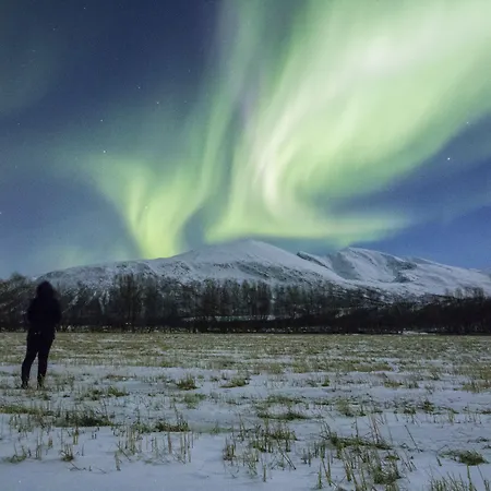 Resort Lyngen North *