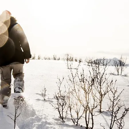Holiday home Lyngen North Rotsund