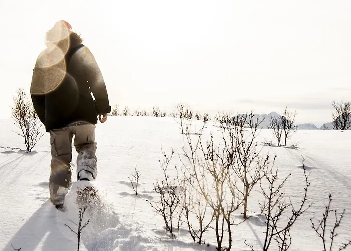 Chata Lyngen North Rotsund